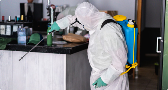 Termite Treatment Service in Ghaziabad