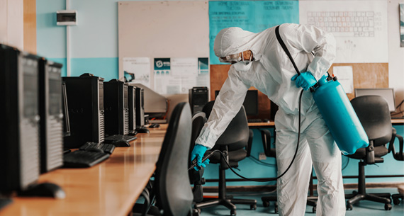 Cockroach Pest Control Service