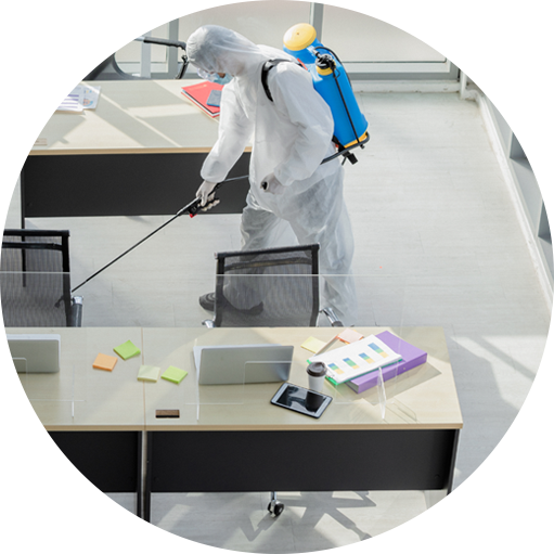 Professional Pest Control Services in Ghaziabad, Noida, Gurugram and Delhi NCR