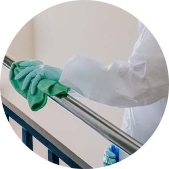 Experienced Pest Control Experts in Ghaziabad, Noida, Gurugram and Delhi NCR