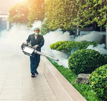 Mosquito Fogging Treatment