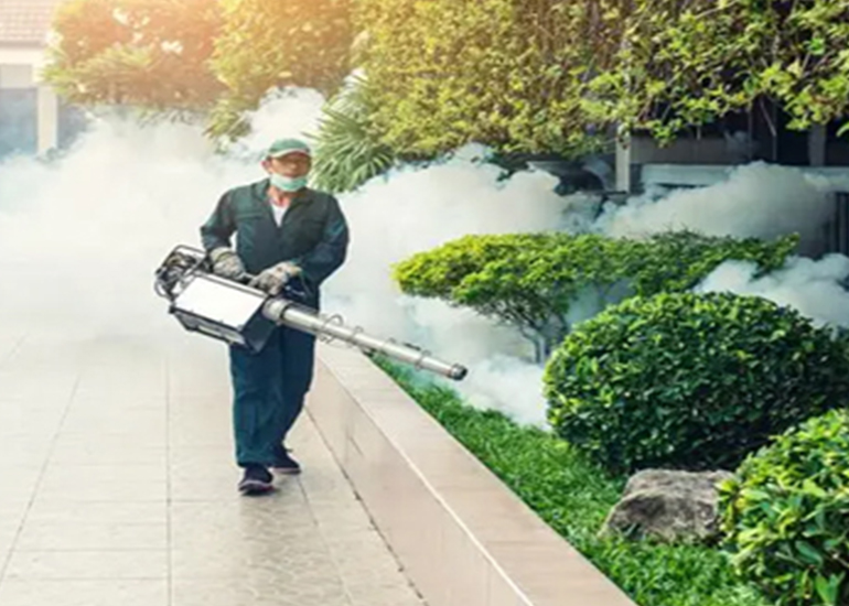 Mosquito Fogging Service