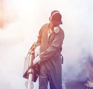 Mosquito Fogging Control